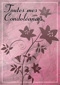 Fleurs roses sur fond apaisant pour un hommage